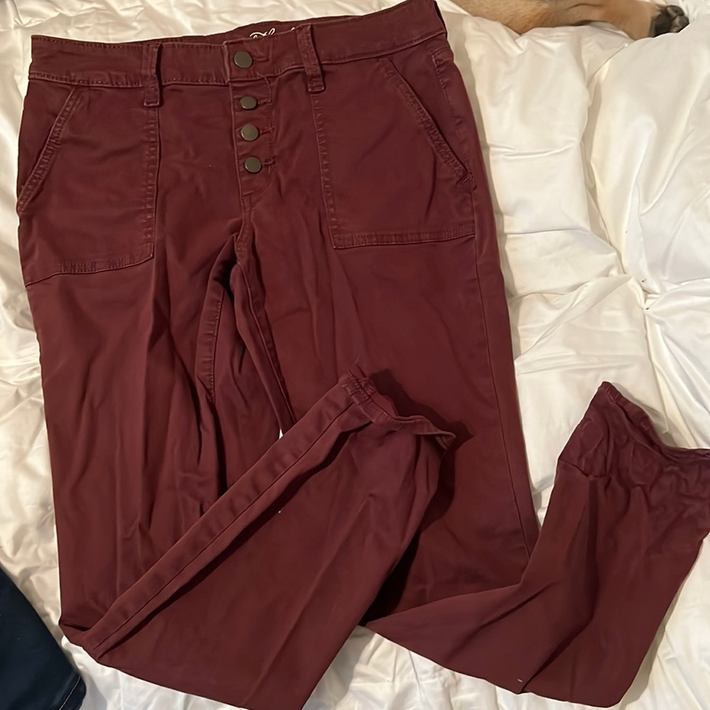 Mid Rise Skinny Maroon Pants